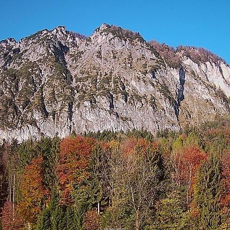 Pension Bergfried Grodig Bagian luar foto